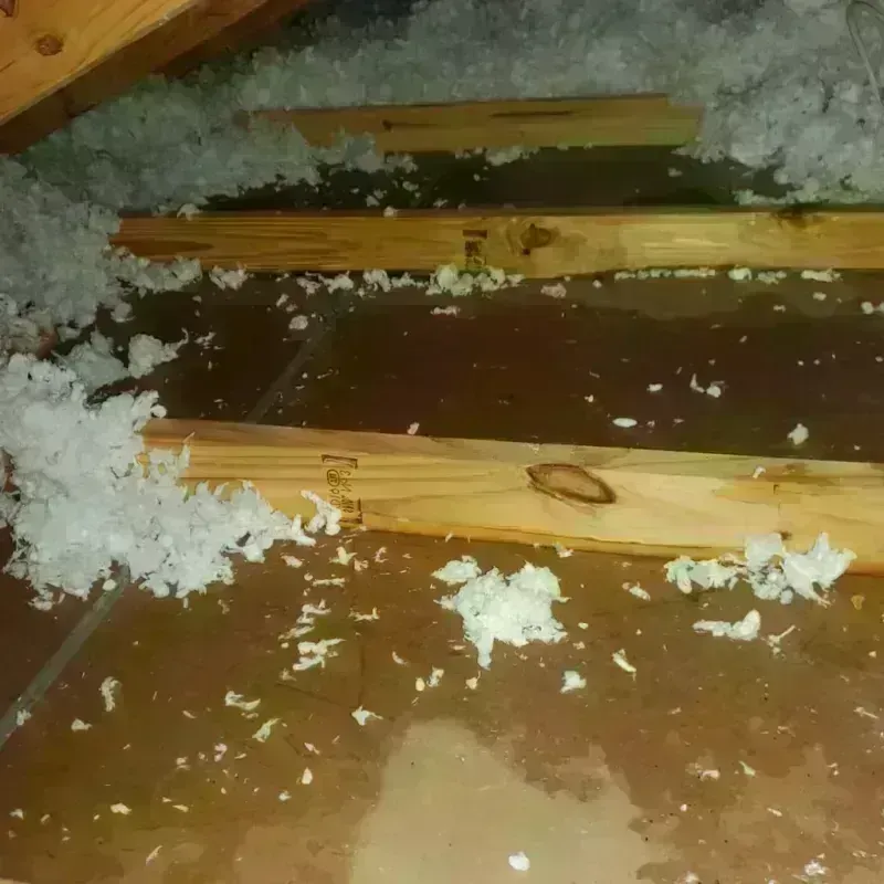 Attic Water Damage in Suffolk, VA