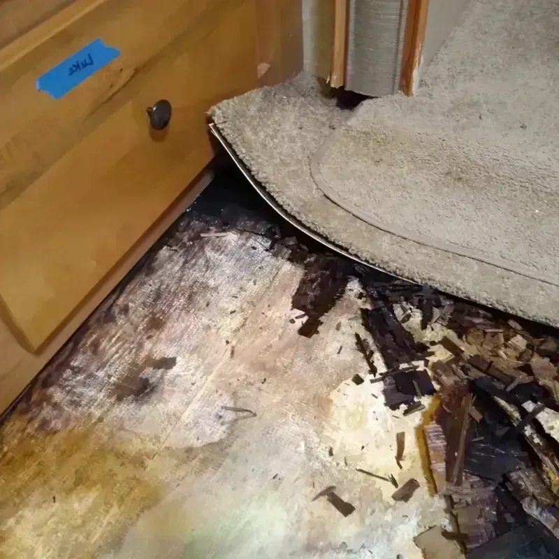 Wood Floor Water Damage in Suffolk, VA